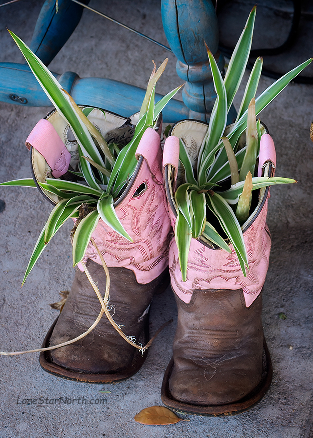 Alpine Boots